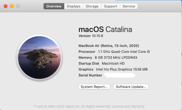 picture of MacOS information screen
